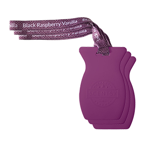 Picture of Scentsy 3 Car Bars