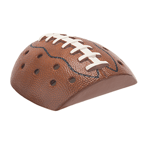 Picture of Scentsy Touchdown! - LID ONLY