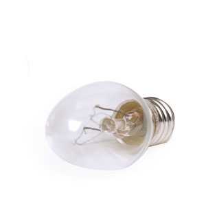 15 Watt Light Bulb