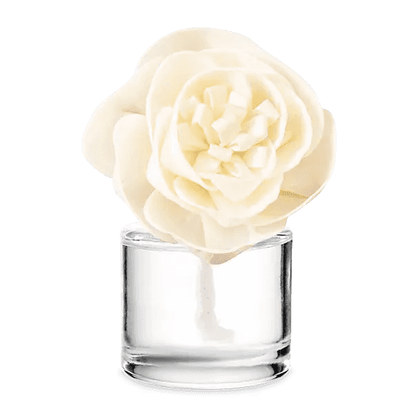 Cashmere & Corduroy - Buttercup Belle Fragrance Flower