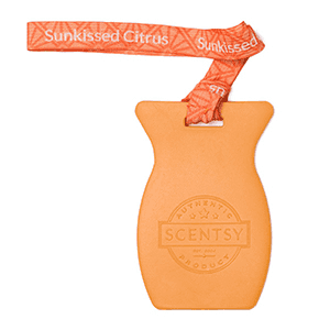 Picture of Scentsy Sunkissed Citrus Scentsy Car Bar