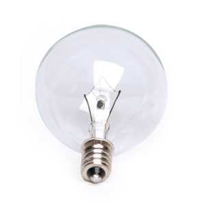 25 Watt Light Bulb