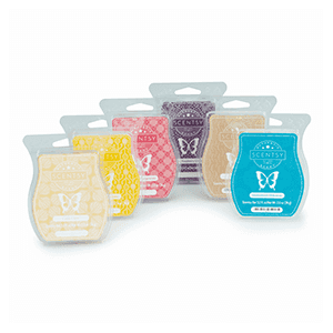 Picture of Scentsy 6 Scentsy Bars