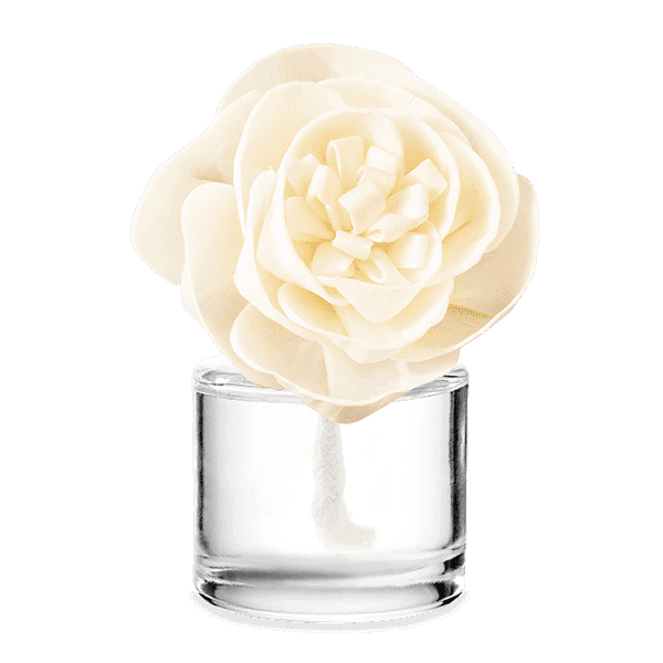 Very Snowy Spruce - Buttercup Belle Fragrance Flower