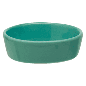 Picture of Scentsy Petal Green - DISH ONLY