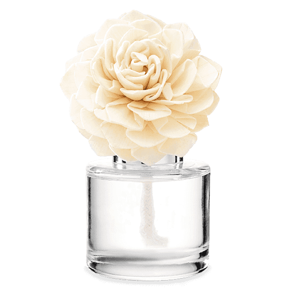 Vanilla Bean Buttercream – Dahlia Darling Fragrance Flower