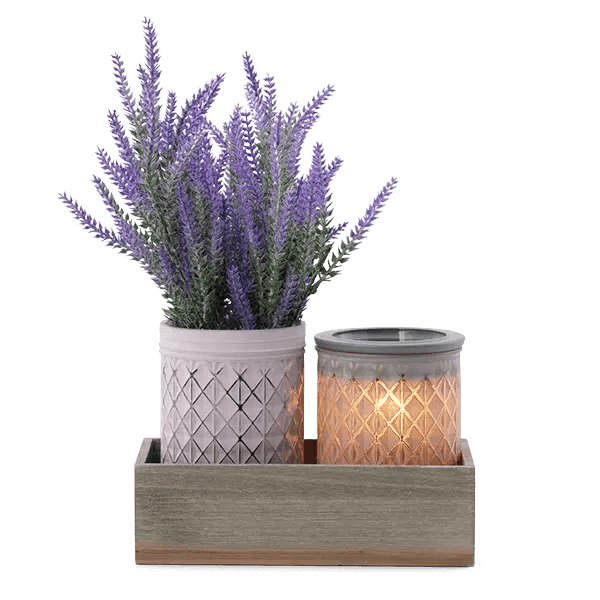 Picture of Scentsy Lavender Bouquet Warmer